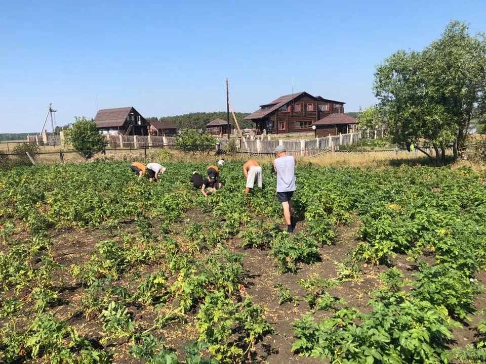 Работа на огороде центра